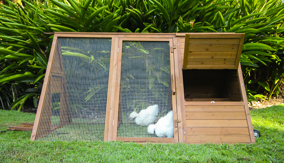 Backyard Chicken Coops | Australia's Finest Chicken Houses!