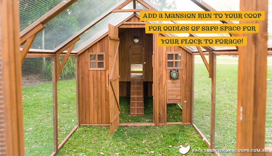 Chicken Coop Size Calculator. Beautiful X House Building 