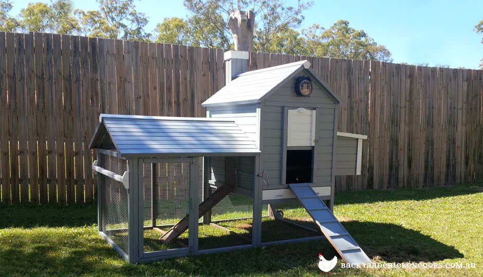 Painting your Chicken Coop - Ideas and Photos