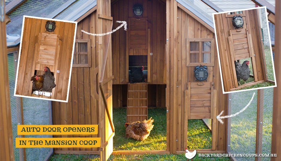 Chicken Door &amp; $30 Automatic Chicken Coop Door Opener ...