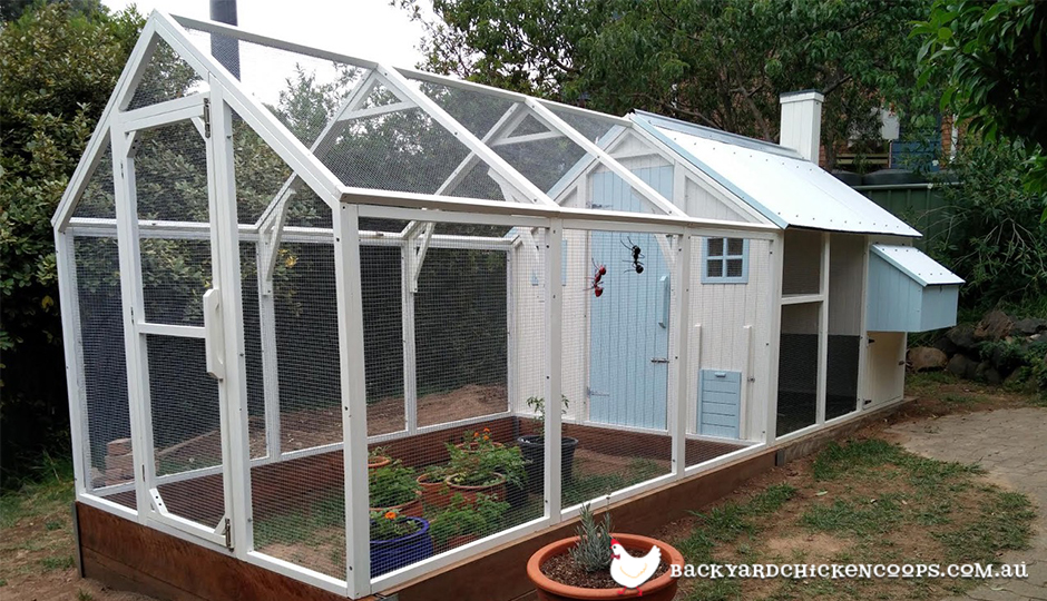 All About Our Chicken Coops For Sale!