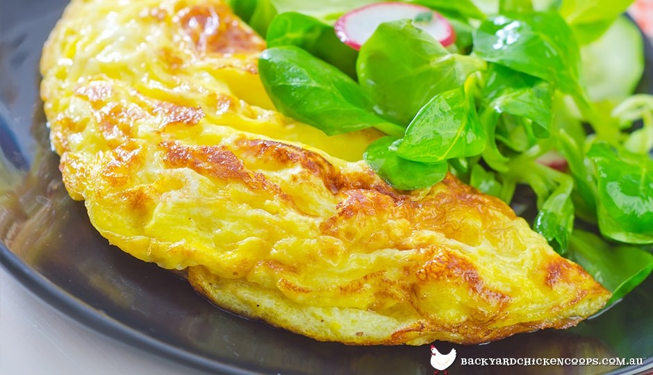 Nature S Yolk Eggs Recall Nature S Yolk Eggs Recall