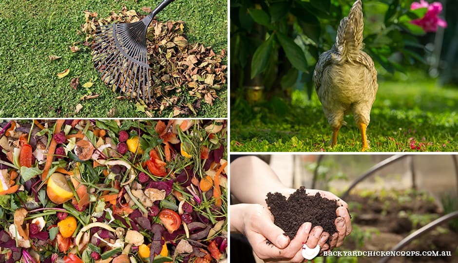 Can I Put Chicken Manure On My Grass | Cromalinsupport