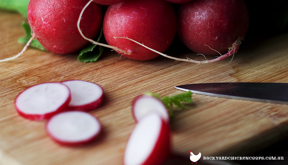 A Radical Guide To Radishes