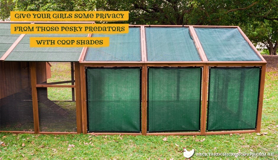 Shade Mesh for your Chicken Coop in Summer