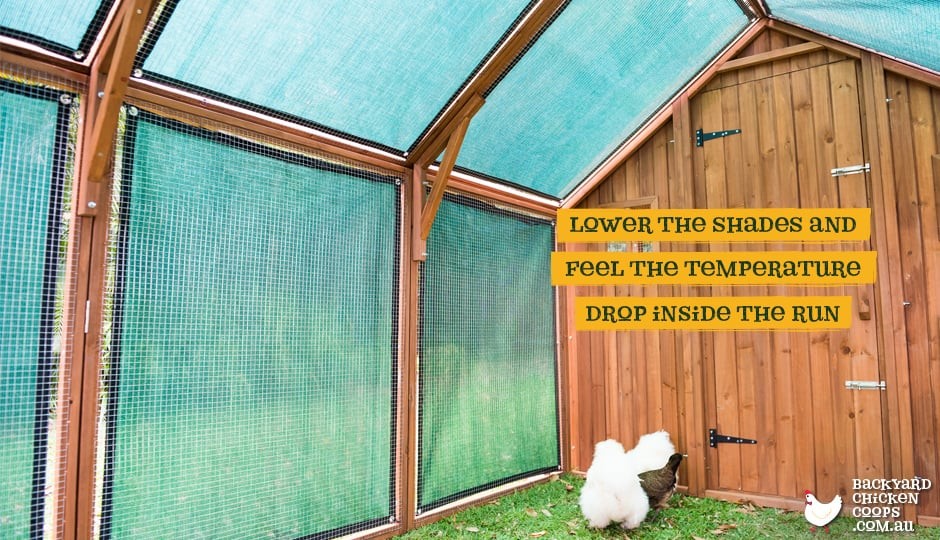 Shade Mesh for your Chicken Coop in Summer