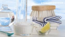 natural chicken coop cleaning products