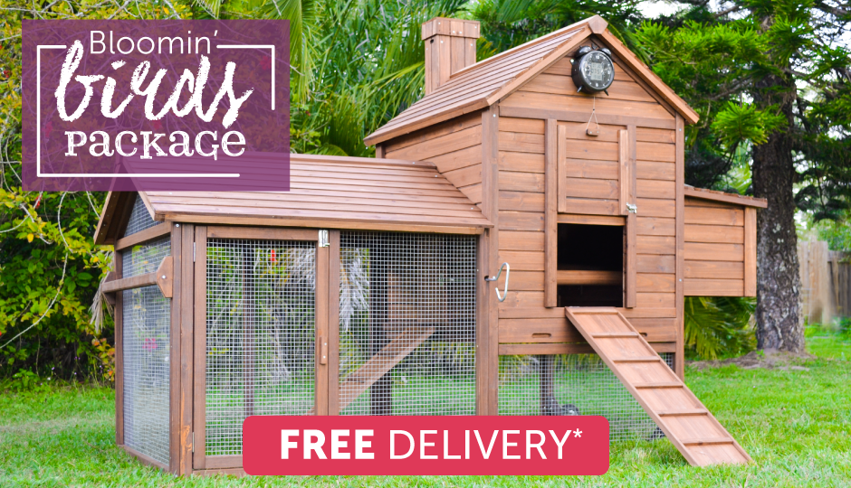 Backyard Chicken Coops Australia's Finest Chicken Houses!